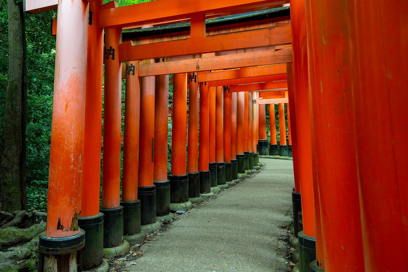 The vermilion torii path at Fushimi Inari-taisha in Kyoto