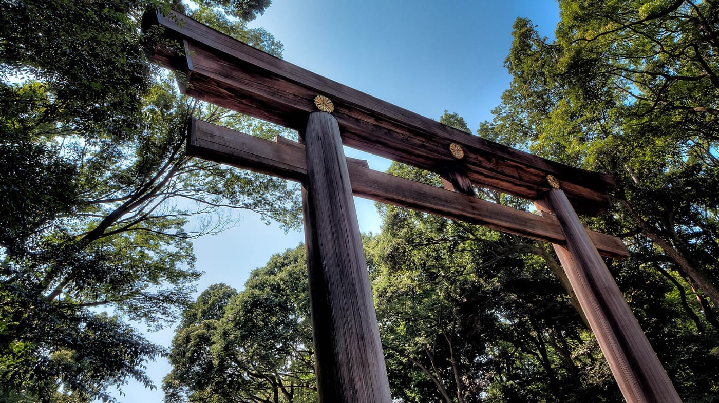 The great wooden torii gate at Meiji Shrine, framed by forest